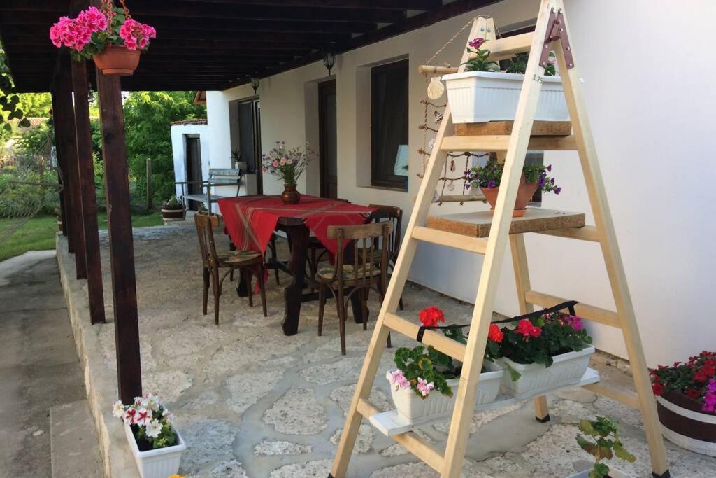 Guest House Kostadinovi Bŭlgarevo Eksteriør billede